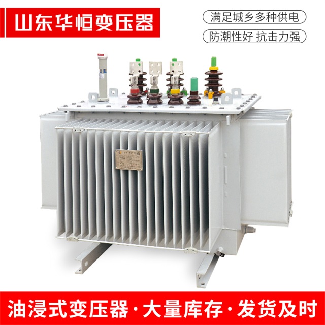 S13-10000/35商河商河商河电力变压器